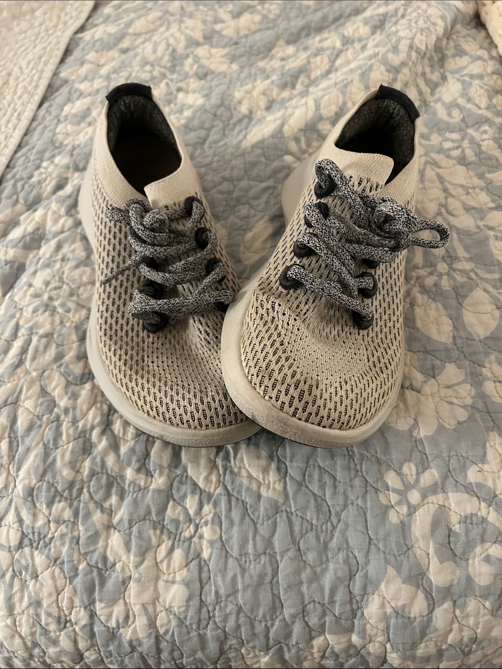 Allbird sneakers